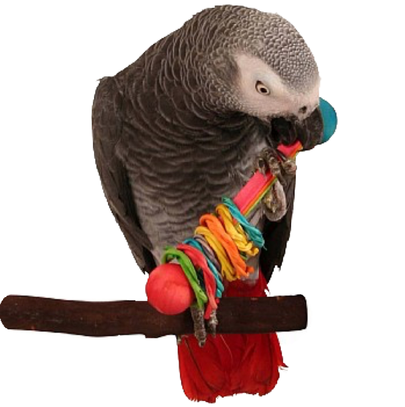 Vine Ring Rattle Foot Toy - by Super Bird Creations