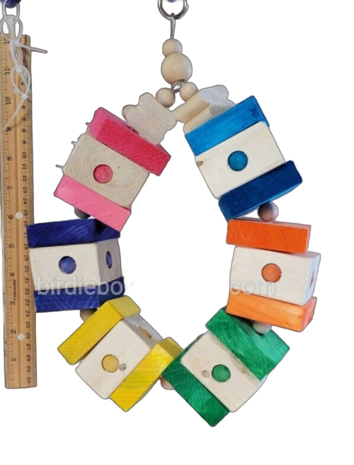 Rainbow Ring by Birdie Box Bird Toys
