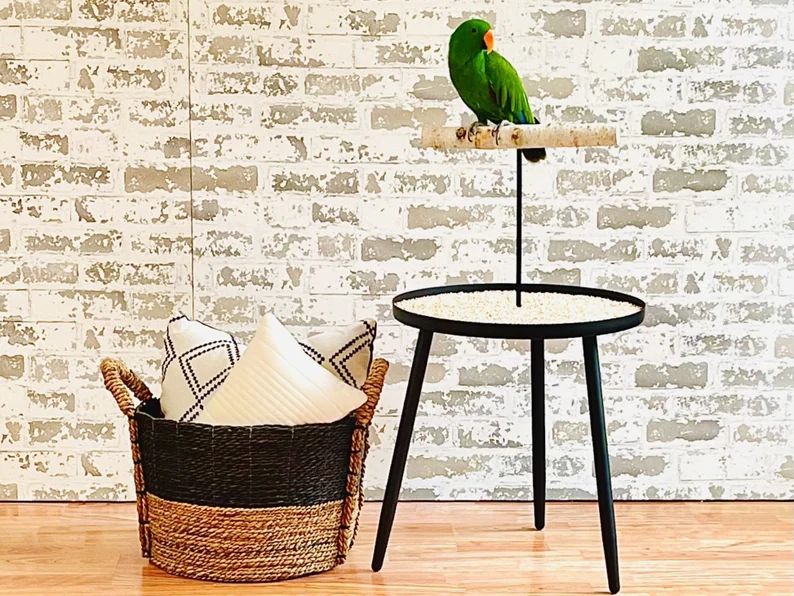 Black Side Table Parrot Stand with 2 Stainless Feeders by The Modern Parrot