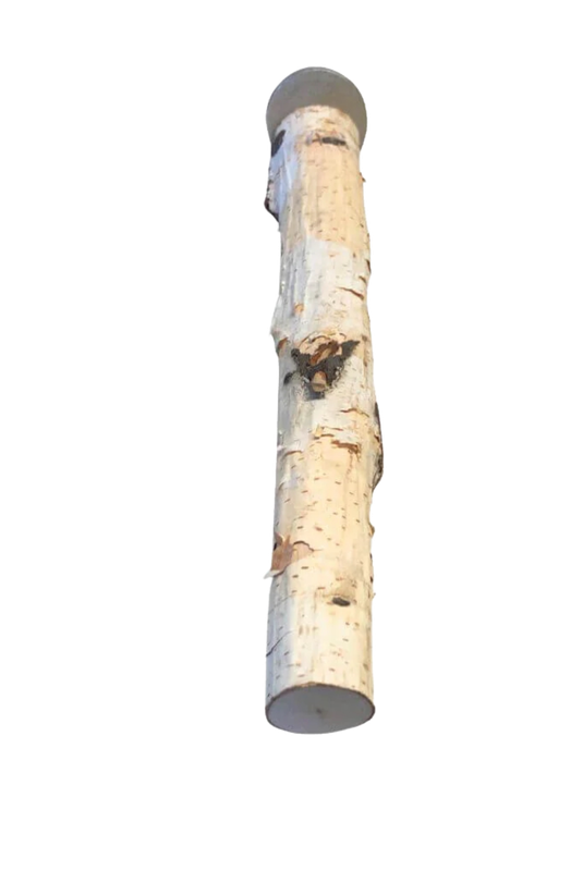 Natural Birch Perch Size Large by PDS Parrot Toys