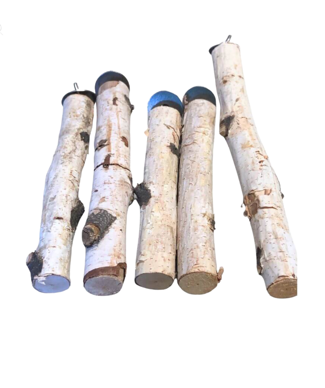 Natural Birch Perch Size Medium by PDS Parrot Toys