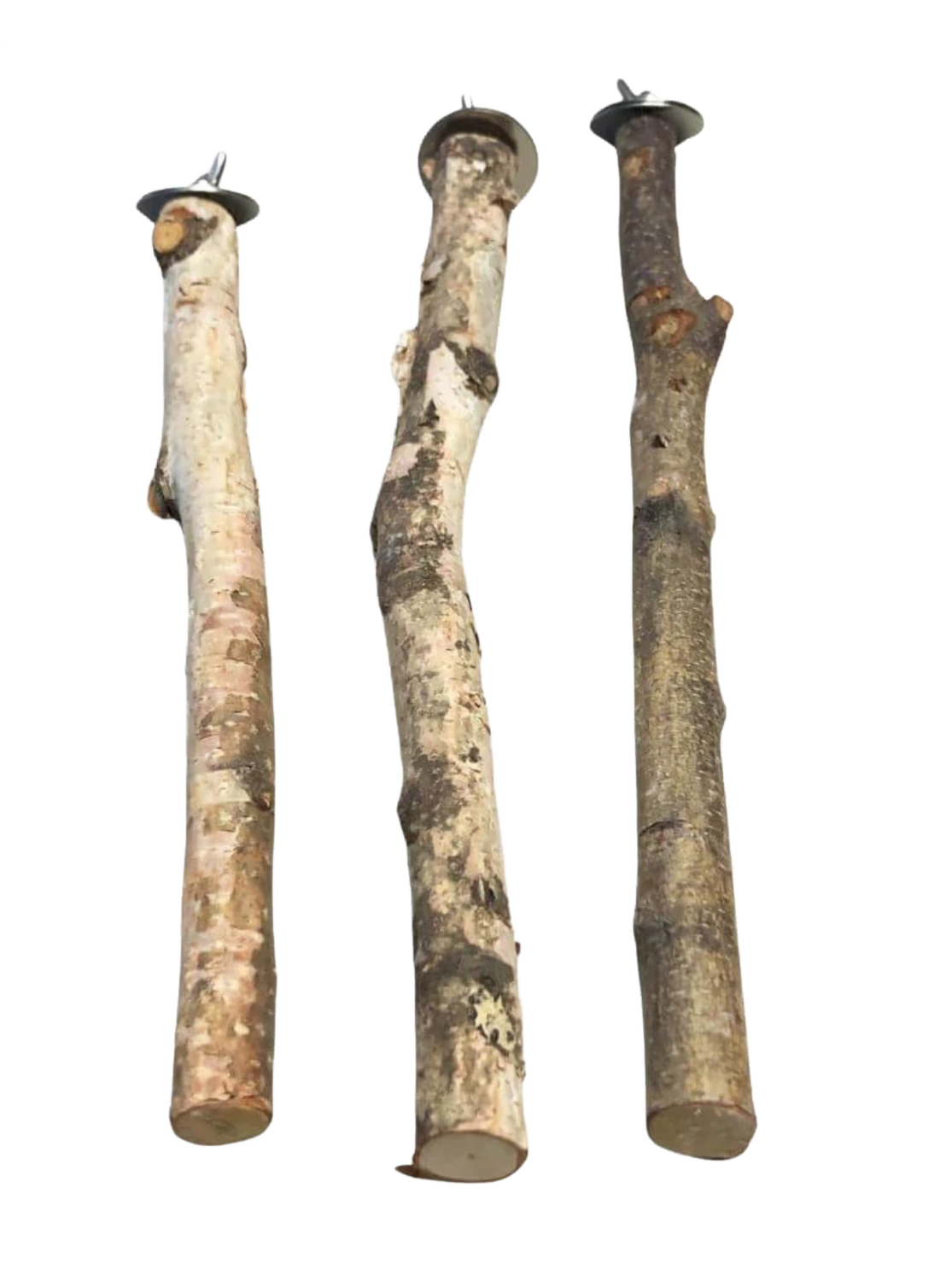 Natural Birch Perch Size Small by PDS Parrot Toys