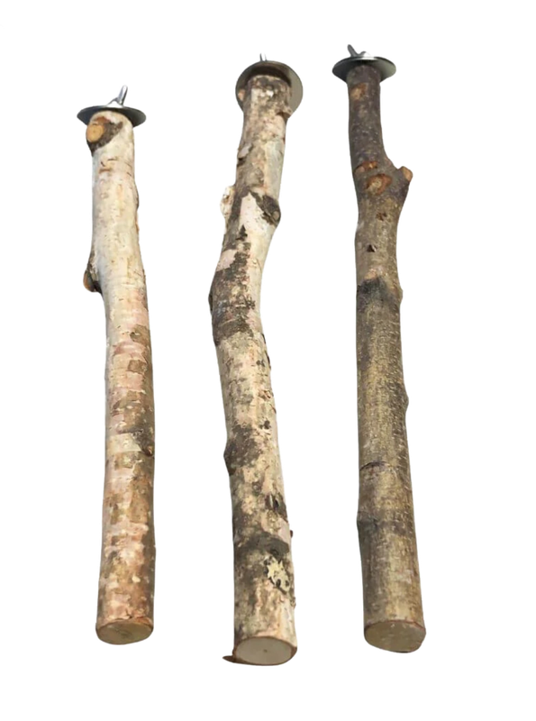 Natural Birch Perch Size Small by PDS Parrot Toys