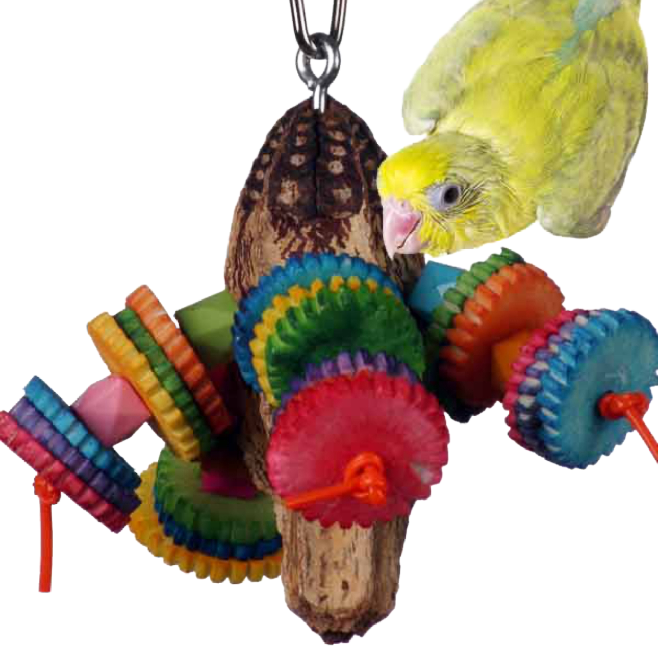 Zip-a-de-do-dah Perky Parrot Toys - Perfect for Tiny and Small Birds