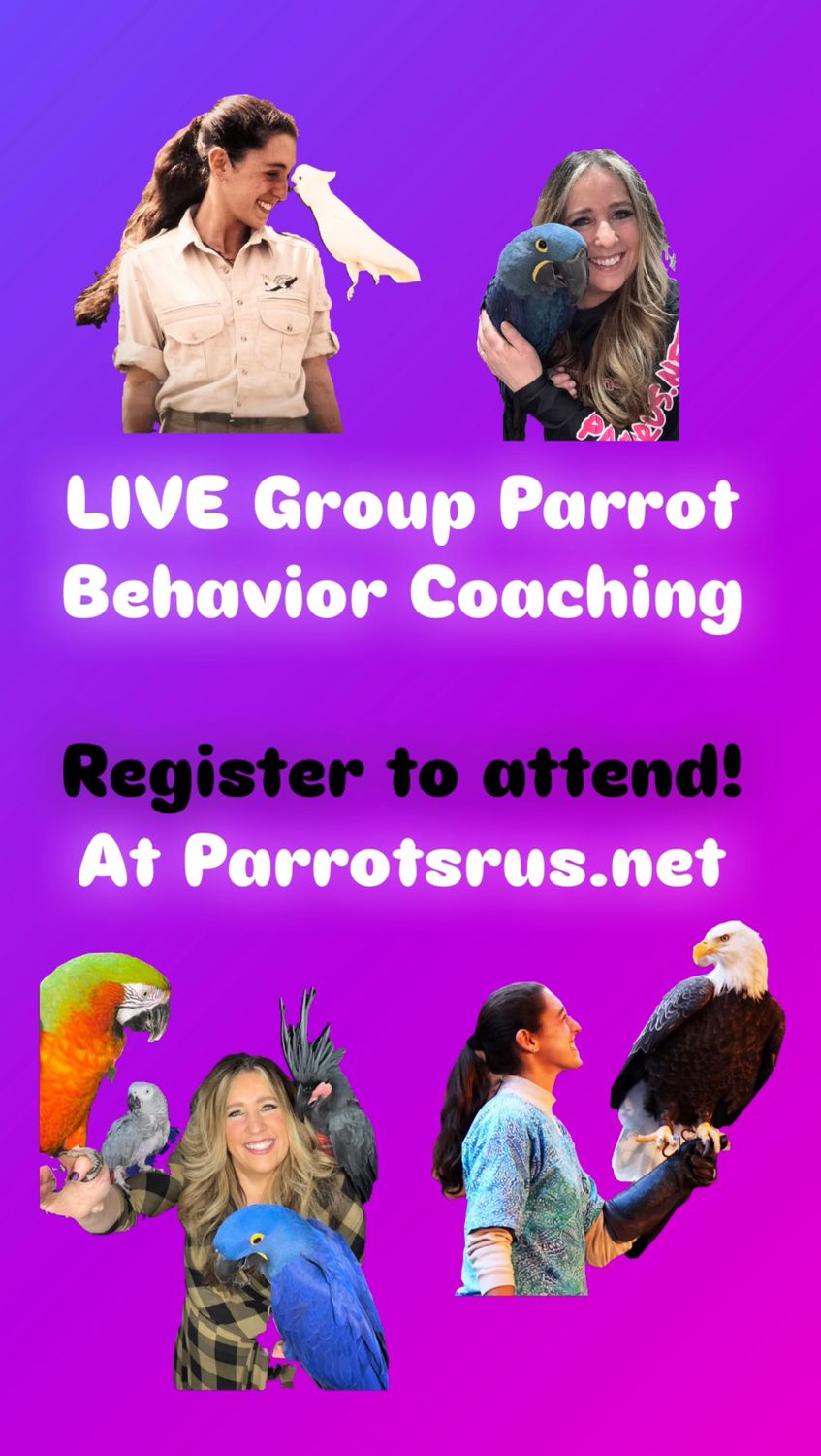 LIVE ​Group Parrot Behavior Coaching Session #2 - will be held Tuesday, June 24th, 7:30pm ET - 9:00pm ET with Unlimited Access to the Recording afterwards
