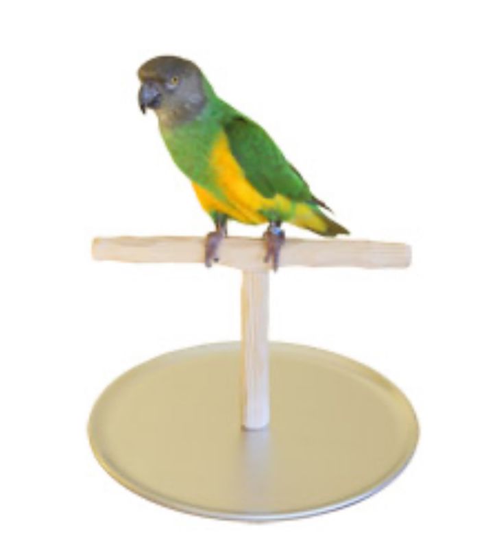 Mini Table Top NU Perch - by Parrot Wizard