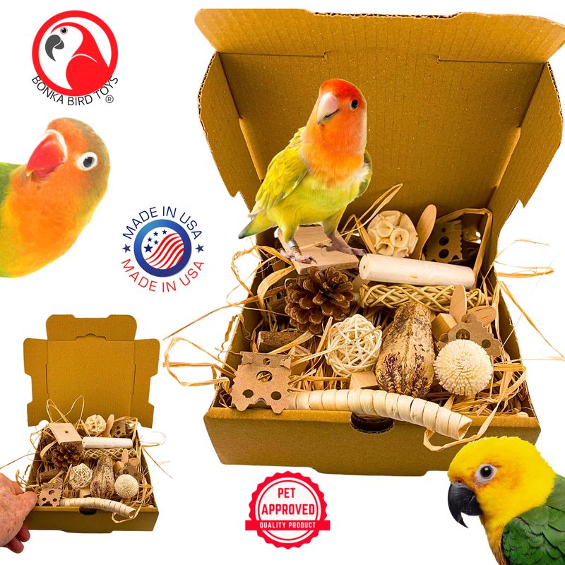 Natural Foraging Box by Bonka Bird Toys