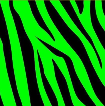 Jungle Toys