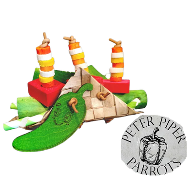 Palm Leaf Square Taco Tuesday by Peter Piper Parrots -- Limited Edition