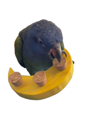 Eclipse Muncher Foot Toy by Pirate&#39;s Beak