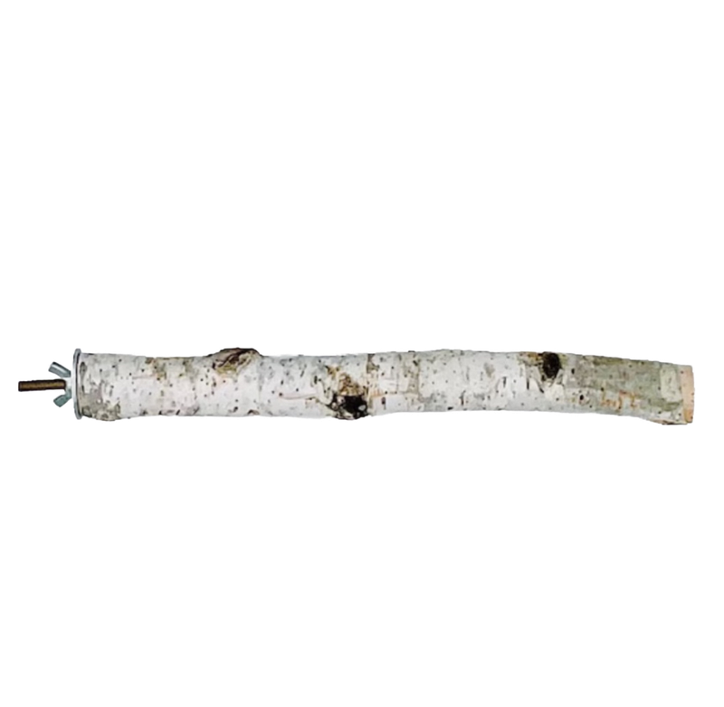 Small Natural Birch Wood Perch .75&quot;-1&quot; diameter by The Modern Parrot