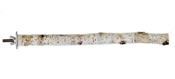 Extra Small Natural Birch Wood Perch .5&quot;-.75&quot; diameter by The Modern Parrot