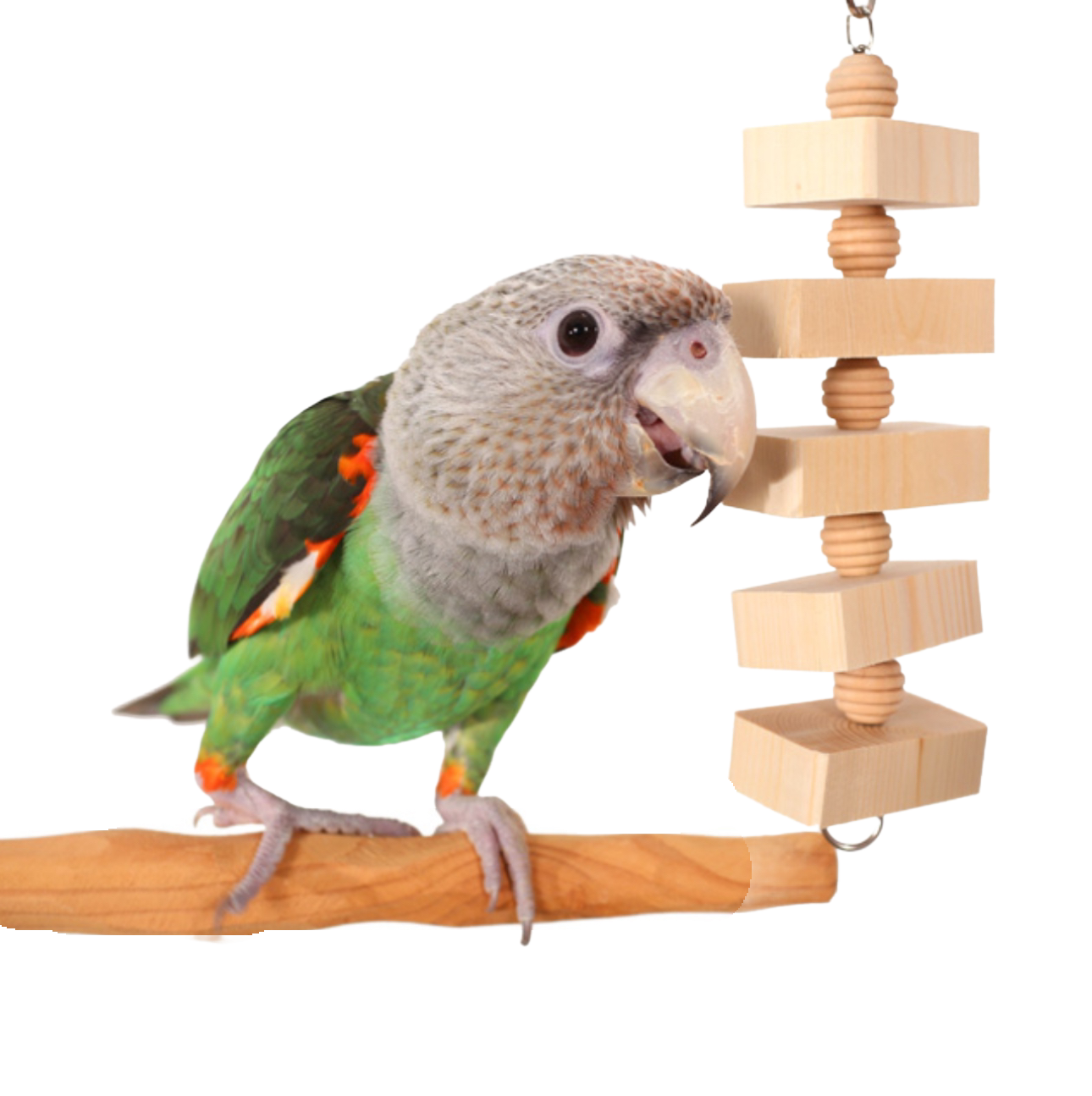 Parrot Bites Blocks Medium by the Parrot Wizard