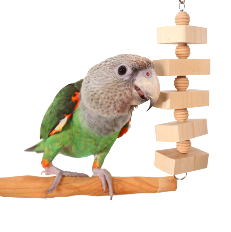 Parrot Bites Blocks Medium by the Parrot Wizard