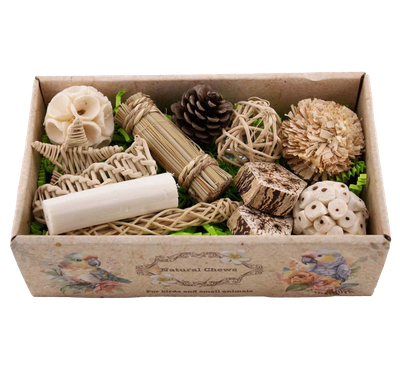 Birdie Bites in a cardboard gift box 12 Pack by Super Bird Creations