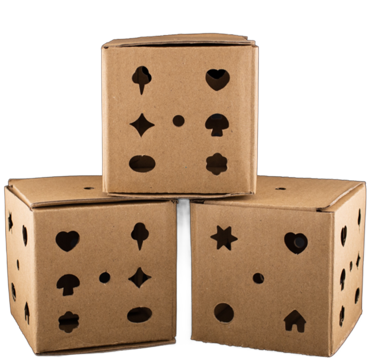 Foraging Fun Box - 3 Pack