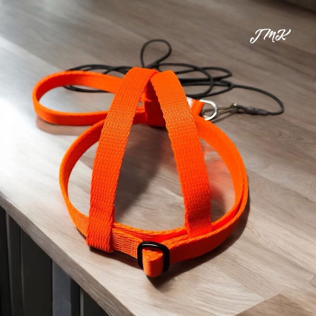 JMK Harness and Leash - Color Orange, Size Large: 600-1100 grams: Lg Macaws, Triton, Sm. Moluccan, Black Palm, etc