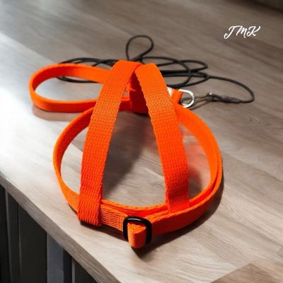 JMK Harness and Leash - Color Orange, Size Large: 600-1100 grams: Lg Macaws, Triton, Sm. Moluccan, Black Palm, etc