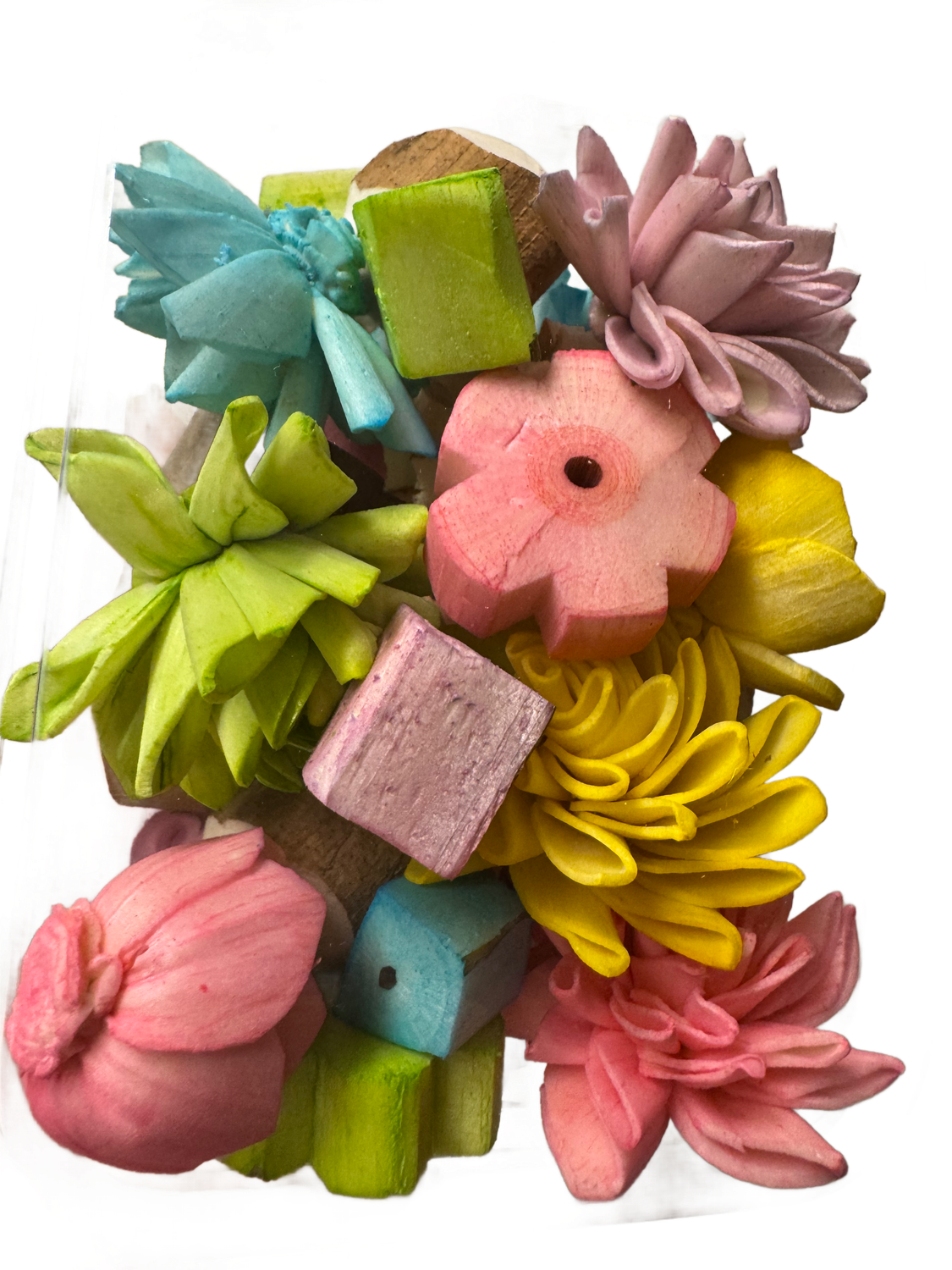 Spring Sola Lovers Delight Clamshell -  by Feathered Addictions