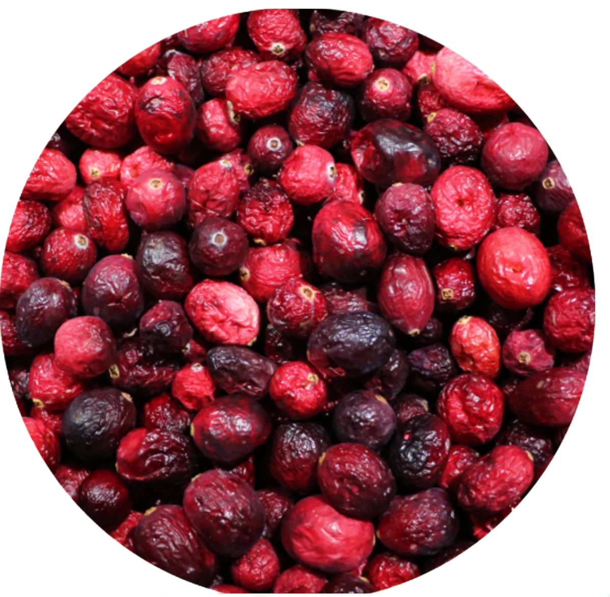 NEW! Freeze dried Cranberries by Parrotopia®