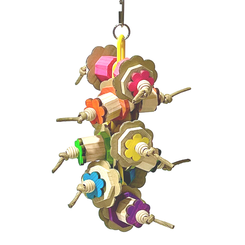 Bird Toys for Medium Birds