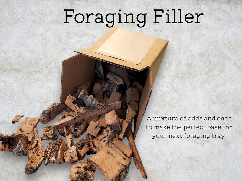 5 oz Foraging Filler Box by Peter Piper Parrots