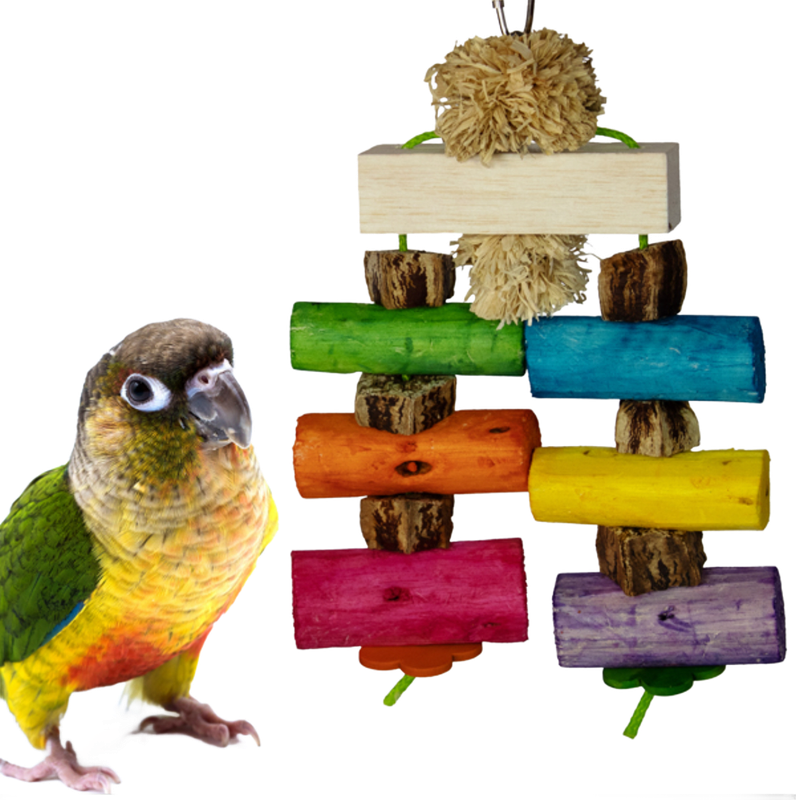 Sola Surprise by Super Bird Creations