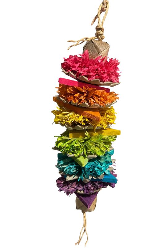 Rainbow Ruffles by Feathered Addictions
