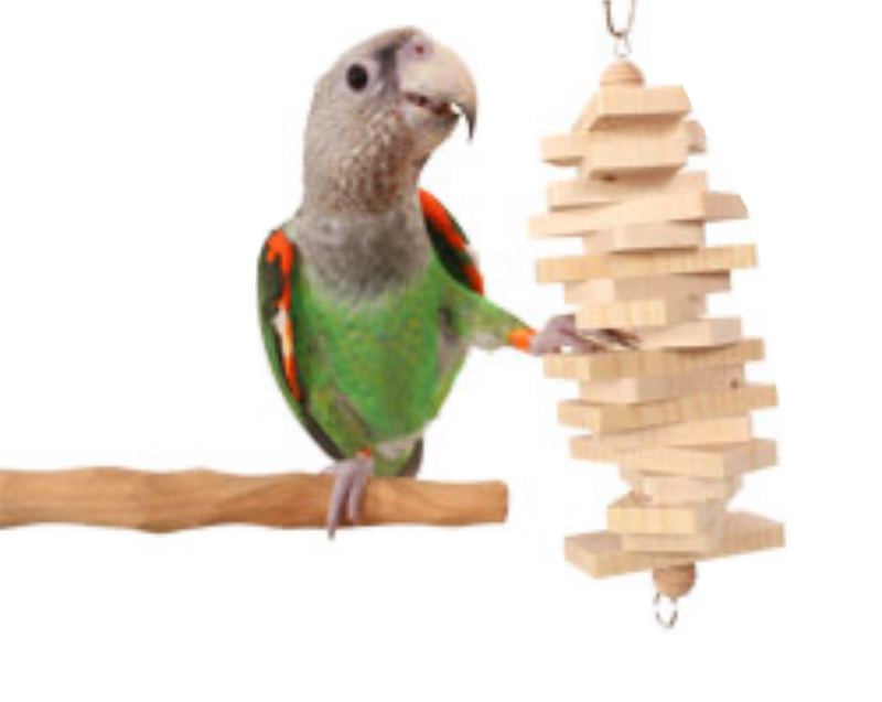 Parrot Bites Strips Small by the Parrot Wizard