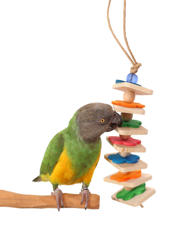 Parrot Bites Blossom Small by the Parrot Wizard