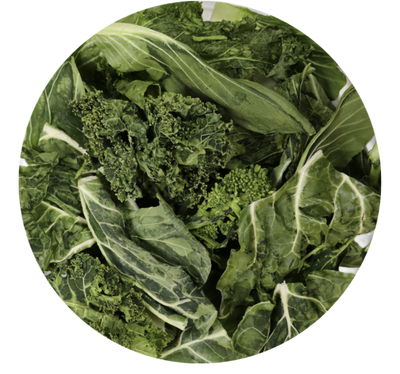 Freeze Dried Calcium Punch for all Parrots by myParrotopia®