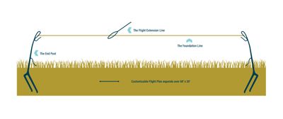 Aviator Flight Line - Give your Bird the Freedom to Take Flight