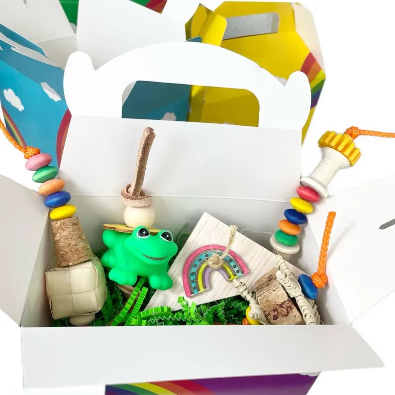 Rainbow Foot Toy Box for Small &amp; some Medium Birds by Pirate&#39;s Beak
