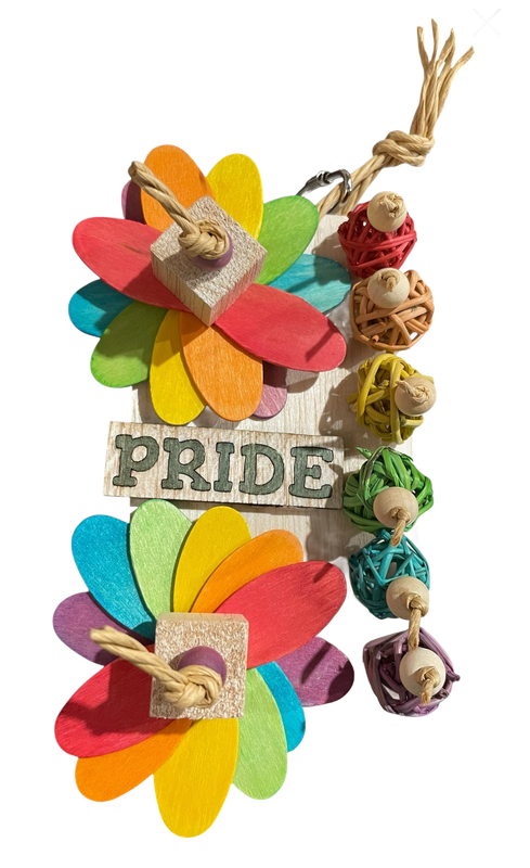 All in for Pride Wind Whirlies - by Feathered Addictions