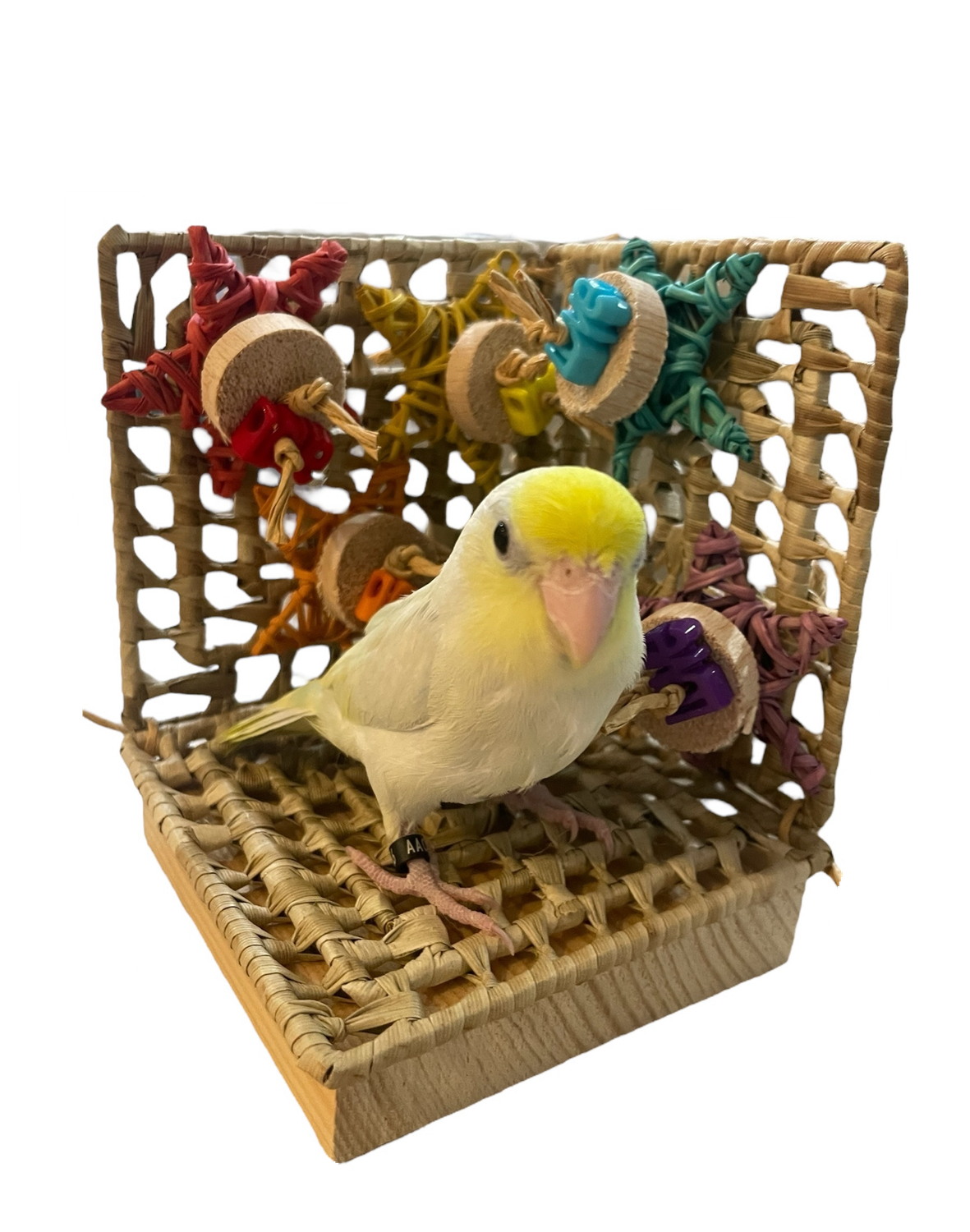Everyone is Welcome Corner Nook Small 4&quot; x 4&quot;  by Feathered Addictions