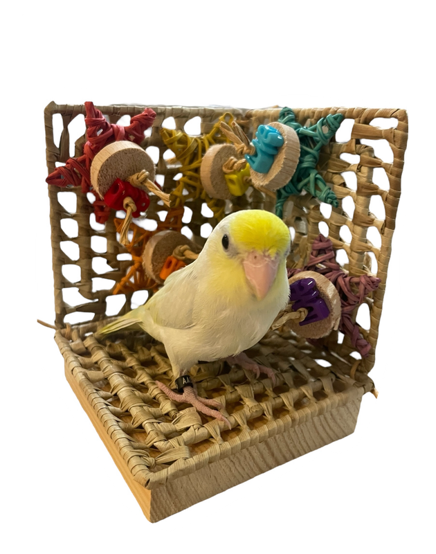 Everyone is Welcome Corner Nook Small 4&quot; x 4&quot;  by Feathered Addictions