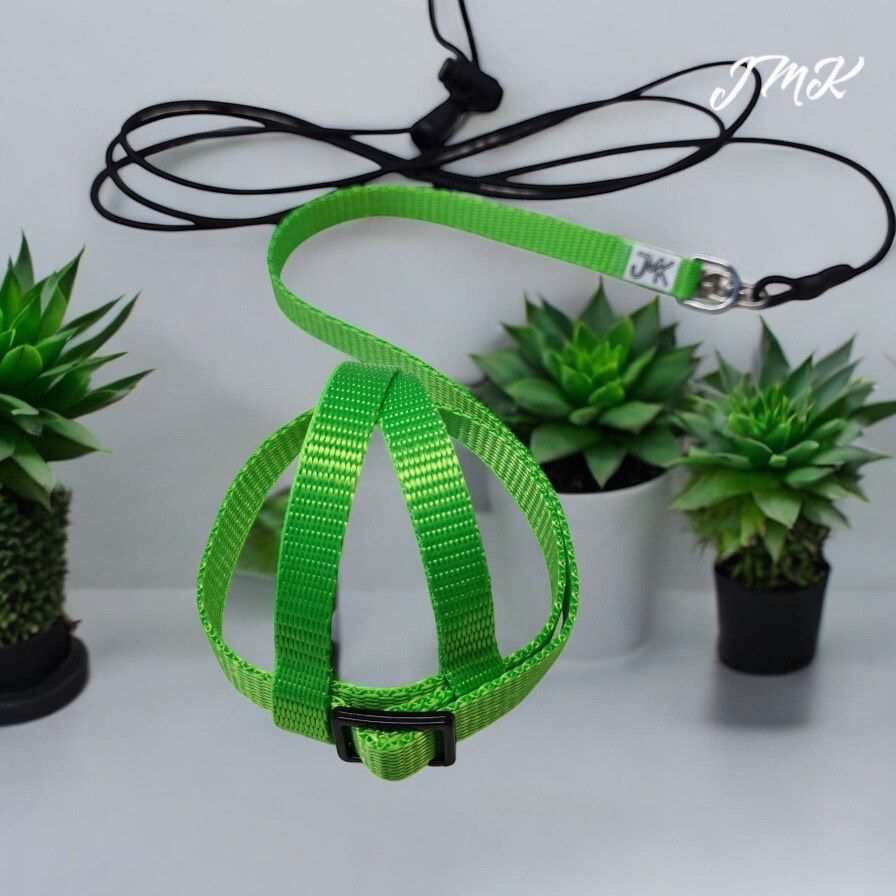 JMK Harness and Leash - Light Green, Size Extra Extra Small: 90-110 grams: Cockatiels, Lg. Parakeets, Sm. Indian Rednecks, Sm. Conures (Green Cheek, Brown Throat)