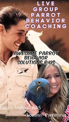 LIVE Parrot Behavior Coaching