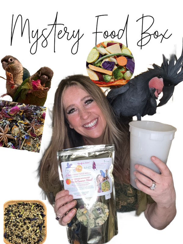 Mystery Food Box -- Buy 1 Time or Sign Up for a Monthly Subscription