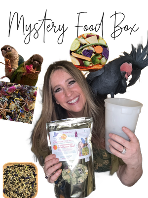 Mystery Food Box -- Buy 1 Time or Sign Up for a Monthly Subscription