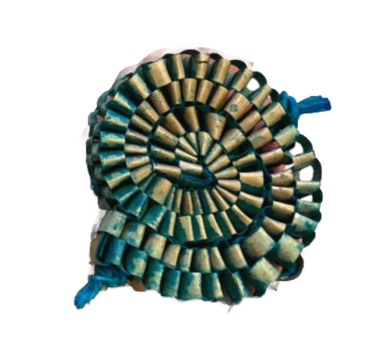 Palm Snails Colored 3 Pack by Feathered Addictions