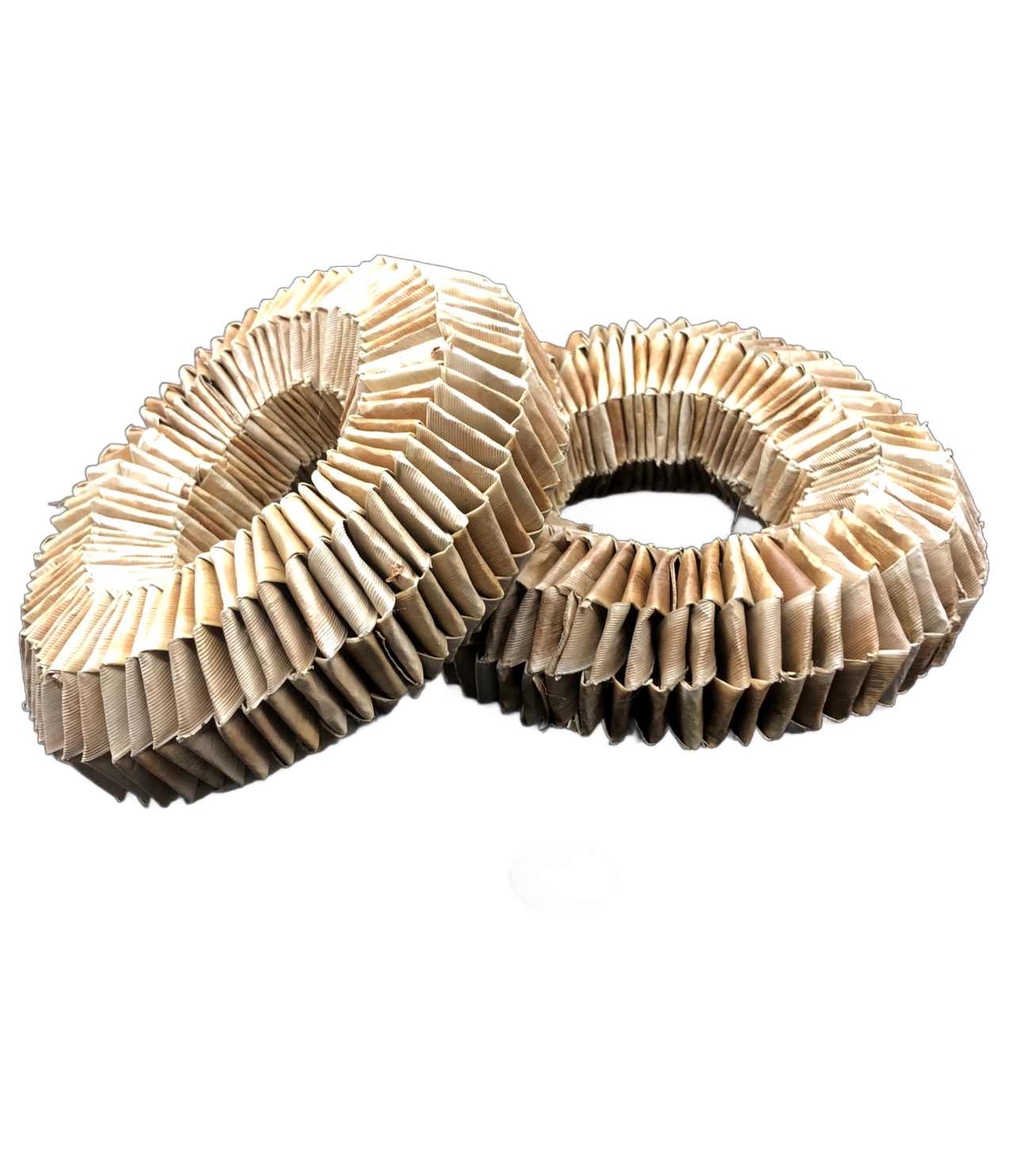 Dark Palm Donut Large 6&quot; by Feathered Addictions
