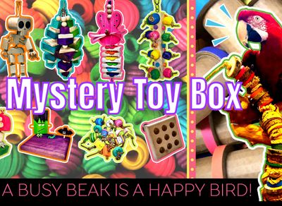 Mystery Toy and Food Boxes - Single Purchase or Set up a Monthly or Quarterly Subscription