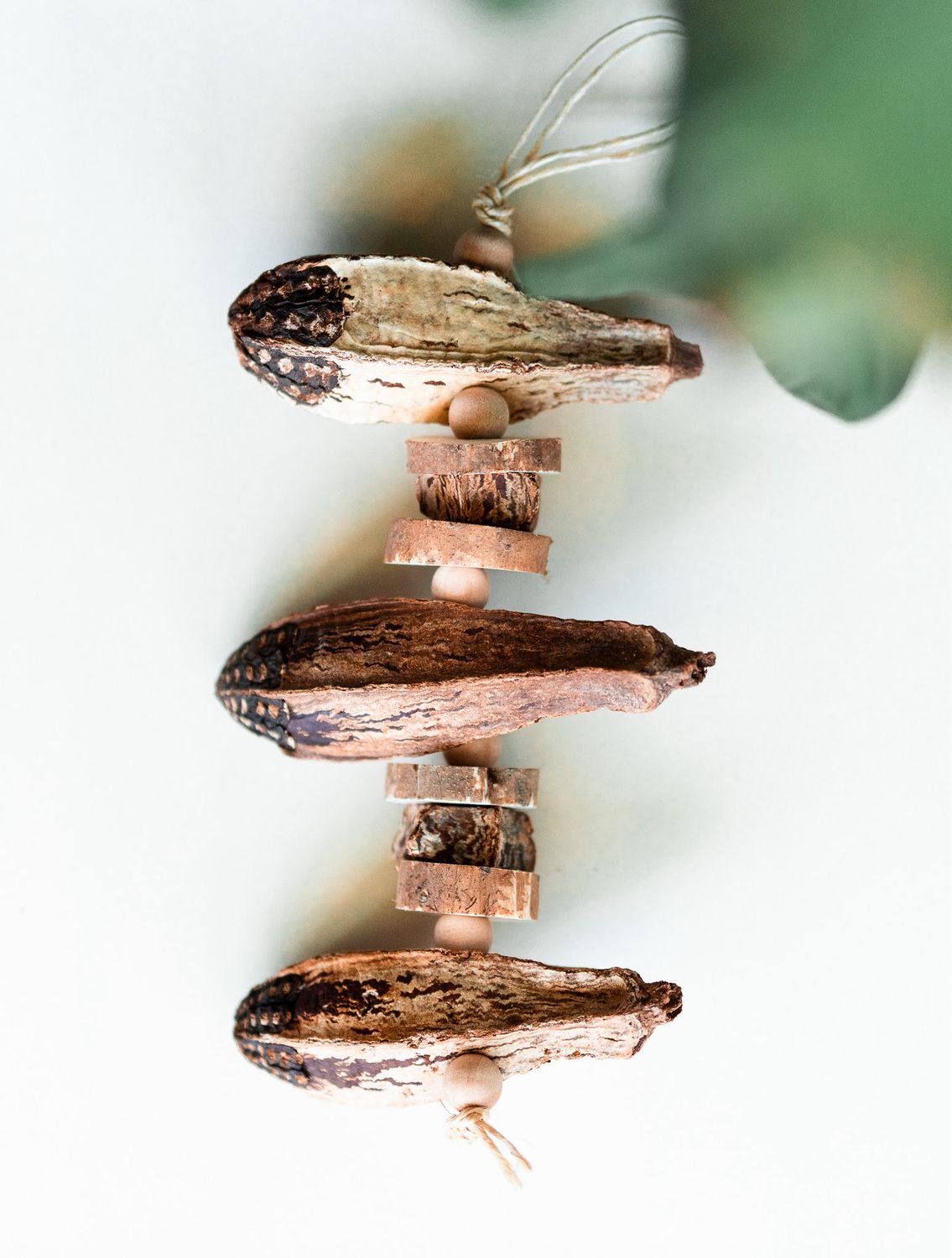 Mahogany Stack  - by Little Dinos