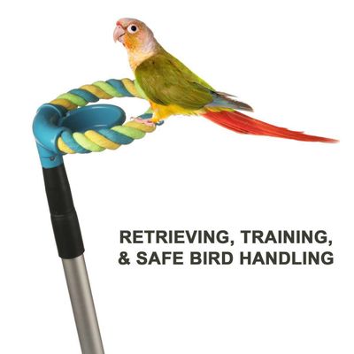 Perch Pal - When your bird flies out of reach!