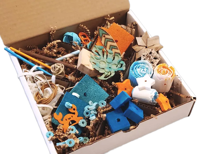 8 Days of Summer Discovery Box NEW Theme by Peter Piper Parrots -- Limited Edition