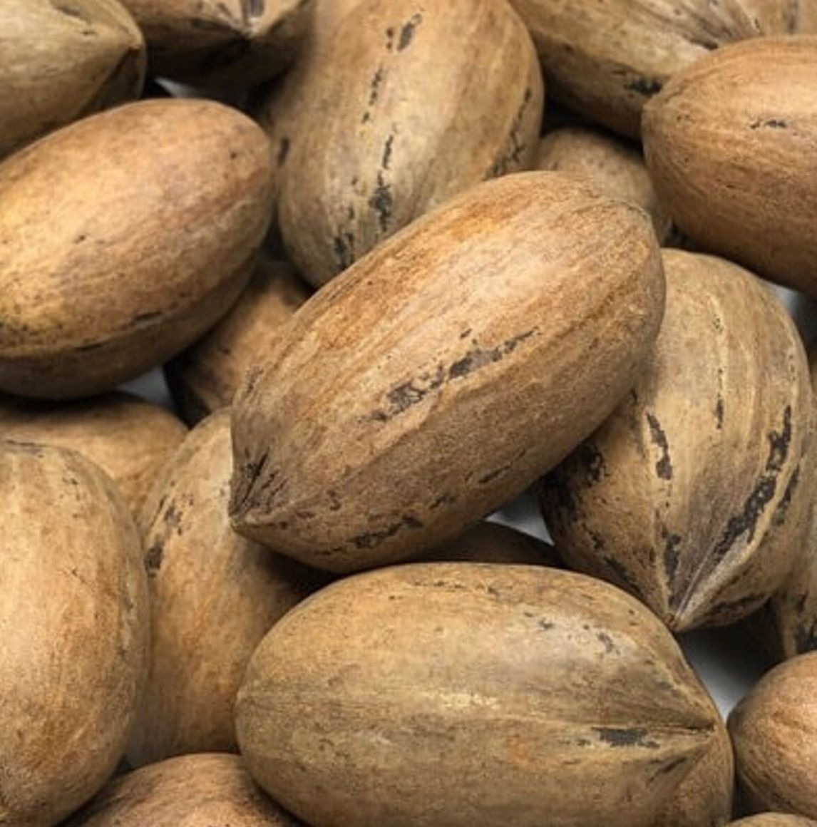 1 Lb in Shell Raw Pecans, Georgia by Argires Snacks