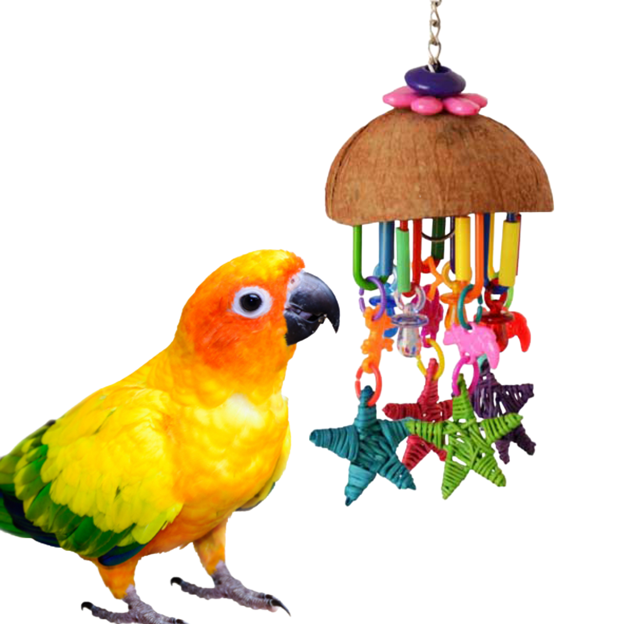 Seeing Stars by Super Bird Creations