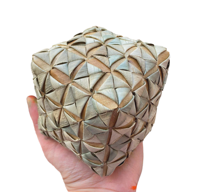 Bigger Fancy Dancy Palm Cube 4&quot; by Feathered Addictions