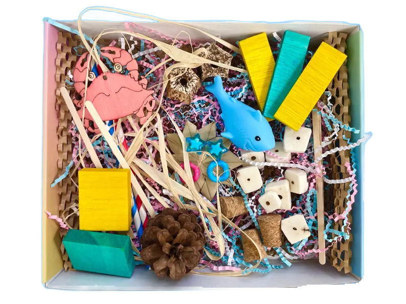 Ocean Oddities Foraging Toy Treasure Box by Pirate&#39;s Beak